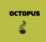 Agence Octopus