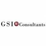 GSI Consultants GmbH