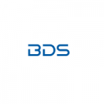 BDS Consulting AG