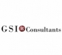 GSI Consultants GmbH