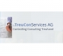 TS TreuConServices AG
