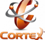 Cortex IT
